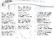 Вариант 5